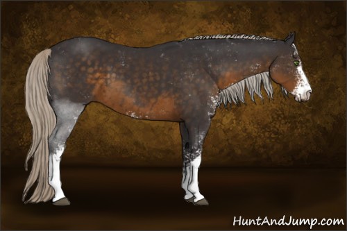 Horse Color:Silver Smoky Black Sabino 