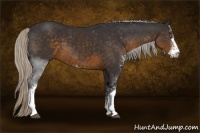 Horse Color:Silver Smoky Black Sabino 