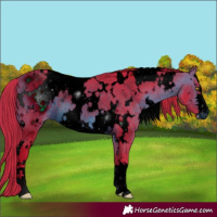 Horse Color:ERROR: UNKNOWN ANOMALY