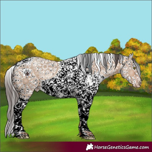 Horse Color:White Spotted Amber Champagne Dun Sabino 