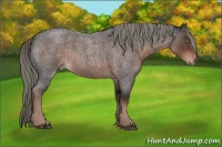 Horse Color:Liver Red Roan Mushroom 