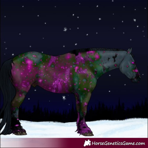 Horse Color:ERROR: UNKNOWN ANOMALY