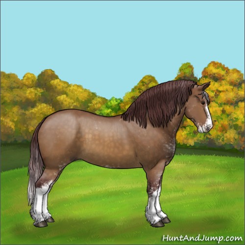 Horse Color:Chocolate Buckskin Dun Sabino 