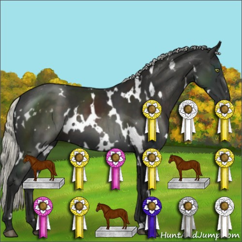 Horse Color:White Spotted Liver Chestnut Mushroom 