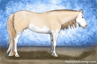 Horse Color:Smoky Black Pearl Splash 