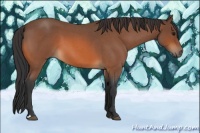 Horse Color:Bay Roan