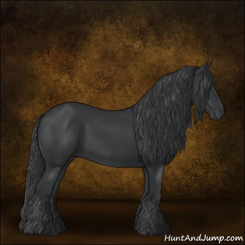 Horse Color:Black 