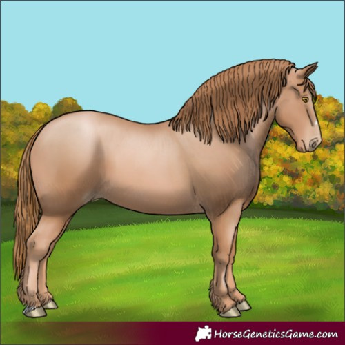 Horse Color:Chestnut Pearl 