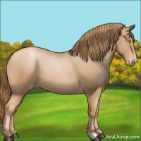 Horse Color:Chestnut Pearl