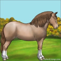 Horse Color:Liver Chestnut Pearl 