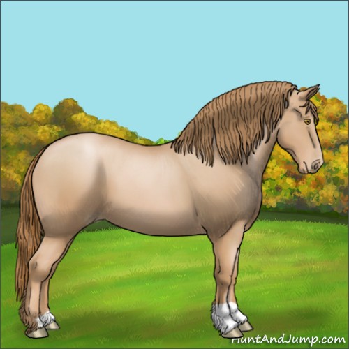 Horse Color:Chestnut Pearl 
