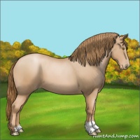 Horse Color:Chestnut Pearl 