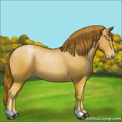 Horse Color:Chestnut Pearl 