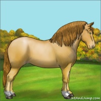 Horse Color:Chestnut Pearl 