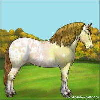 Horse Color:Bay Ice Roan Pearl Sabino Blanket 