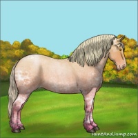 Horse Color:Silver Bay Ice Roan Pearl 