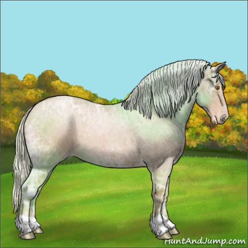 Horse Color:Silver Blue Ice Roan Pearl 