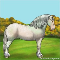 Horse Color:Silver Blue Ice Roan Pearl 