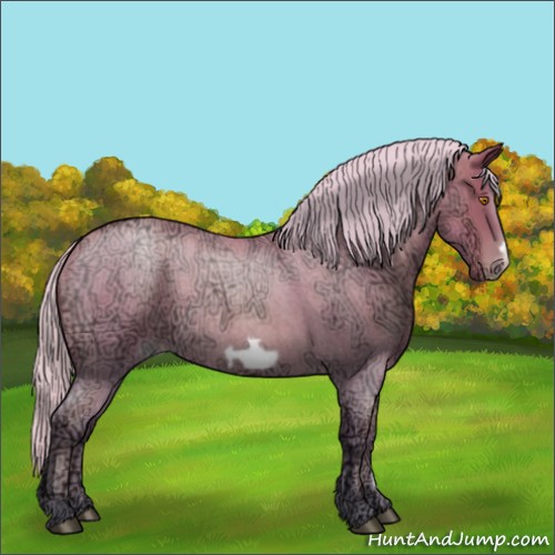 Horse Color:Silver Blue Ice Roan Pearl Frame