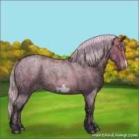 Horse Color:Silver Blue Ice Roan Pearl Frame 