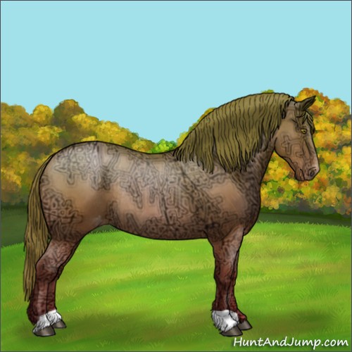 Horse Color:Brown Ice Roan Pearl Appaloosa Rabicano