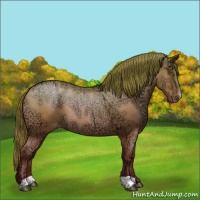 Horse Color:Brown Ice Roan Pearl Appaloosa Rabicano 