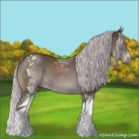 Horse Color:Platinum Chocolate Silver Brown Tobiano 