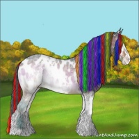 Horse Color:Painted Watercolor White Spotted Brown Ice Onyx Appaloosa 