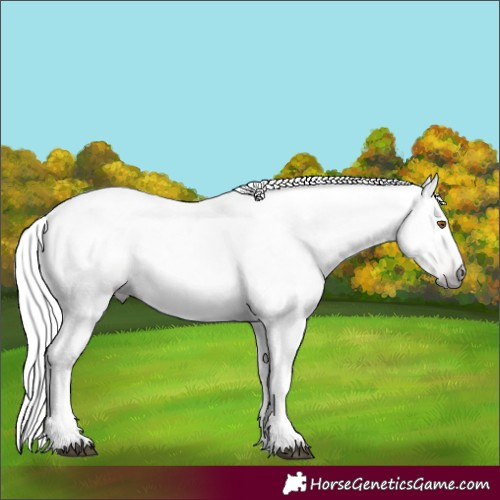 Horse Color:Gray Silver Black Pearl Tobiano 