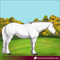 Horse Color:Gray Silver Black Pearl Tobiano