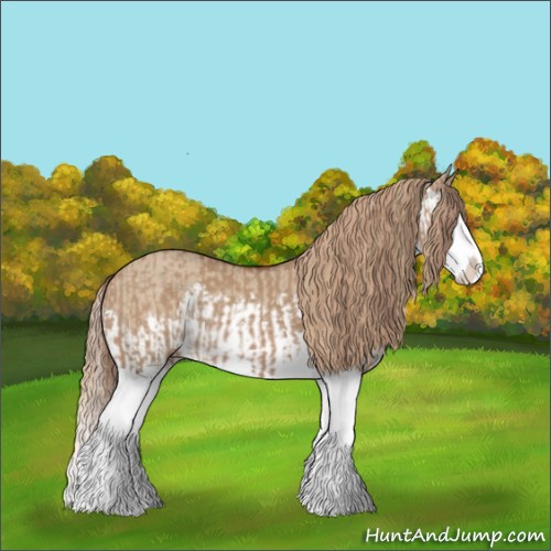 Horse Color:Red Dun Splash  and Red Dun Splash 