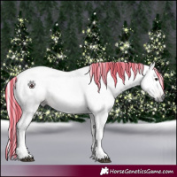 Horse Color:Gray Painted Bay 