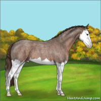 Horse Color:Liver Red Roan Splash 