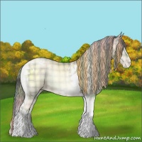 Horse Color:Plaid Sable Champagne Pearl Onyx Tobiano Rabicano