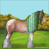 Horse Color:Painted Black Pearl Tobiano 