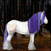 Horse Color:Painted Plaid  White Spotted Bay Ice Pearl Onyx Splash Tobiano 