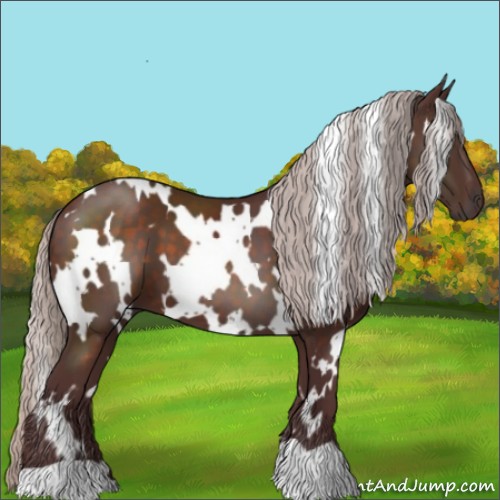 Horse Color:White Spotted Chocolate Silver Brown 