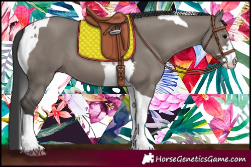 Horse Color:Grullo Sabino Tobiano 