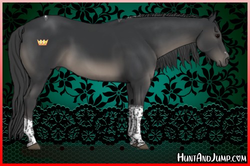 Horse Color:Black Sabino Tobiano 