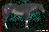 Horse Color:Black Sabino Tobiano