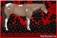 Horse Color:Classic Champagne Tobiano 