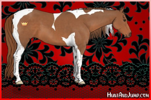Horse Color:Chestnut Tobiano