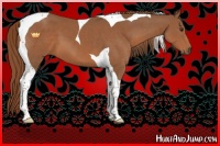 Horse Color:Chestnut Tobiano 