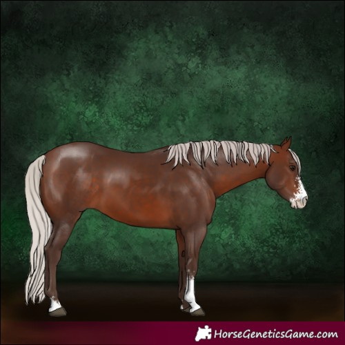 Horse Color:Silver Brown Sabino 