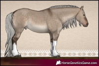 Horse Color:White Spotted Silver Brown Dun Tobiano 