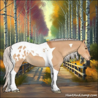 Horse Color:Silver Bay Dun Tobiano Appaloosa 