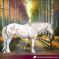 Horse Color:Silver Bay Dun Tobiano Blanket 