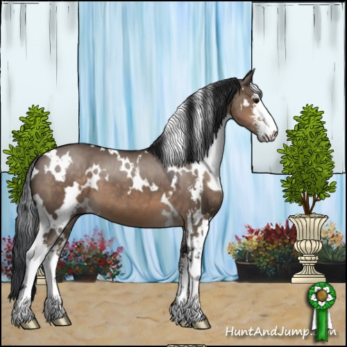 Horse Color:White Spotted Brown Dun Sabino 