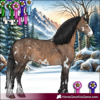 Horse Color:White Spotted Brown Dun Sabino 