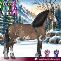 Horse Color:White Spotted Brown Dun Sabino 